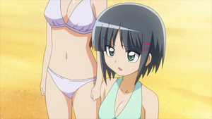 Hayate no Gotoku!!: Atsu ga Natsuize - Mizugi-hen!